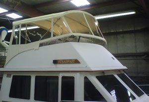 Bimini and Enclosure