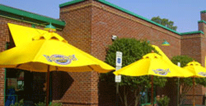 Patio Umbrella with Graphics Patio Umbrella with Graphics