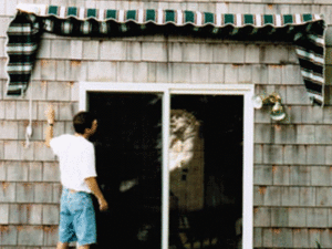 Retractable-Window-Awnings