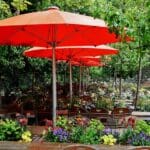 Patio Umbrellas for Restaurants